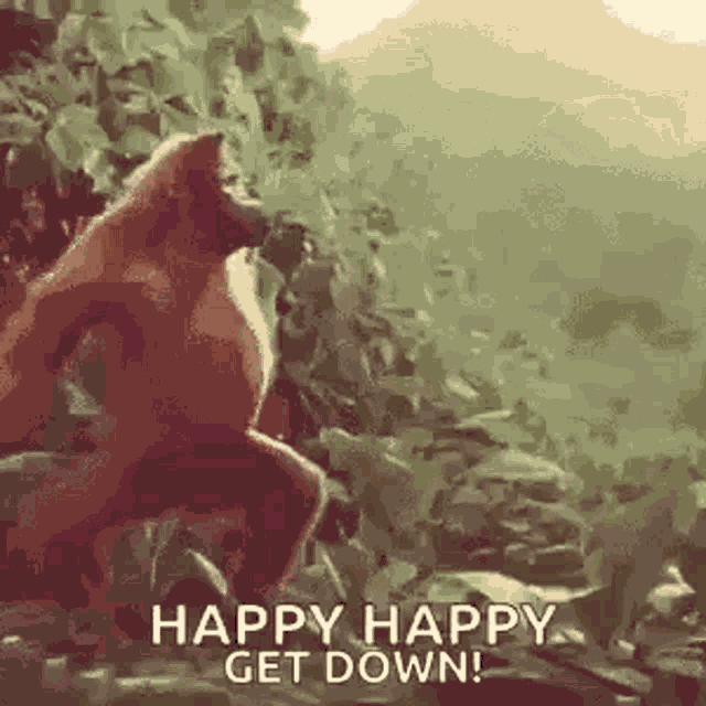 Happy Happy Get Down Happy Birthday GIF