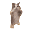 Happy Happy Happy Happy Sticker