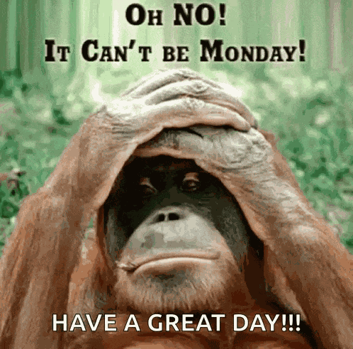 Happy Happy Monday Morning GIF