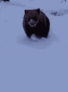 Happy Hopping GIF