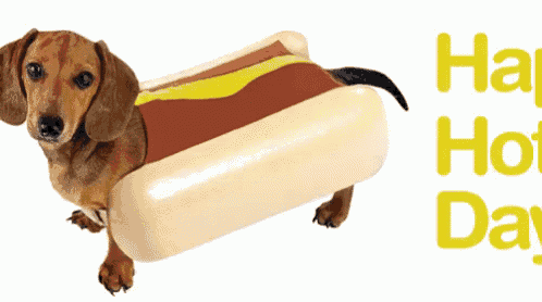 Happy Hot Dog Day GIF