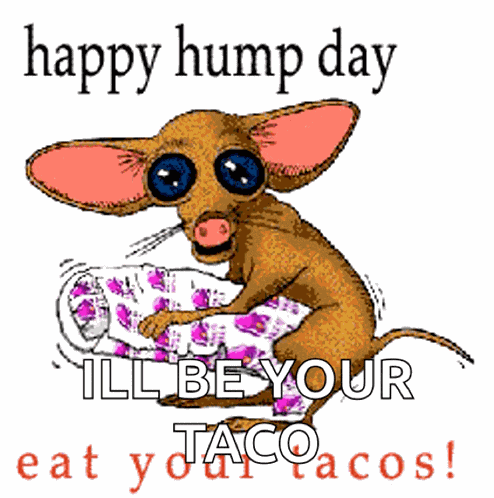 Happy Hump Day Eat Your Taco GIF