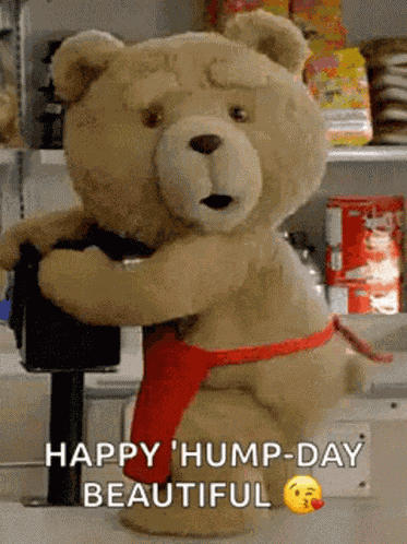 Happy Hump Day Funny GIF