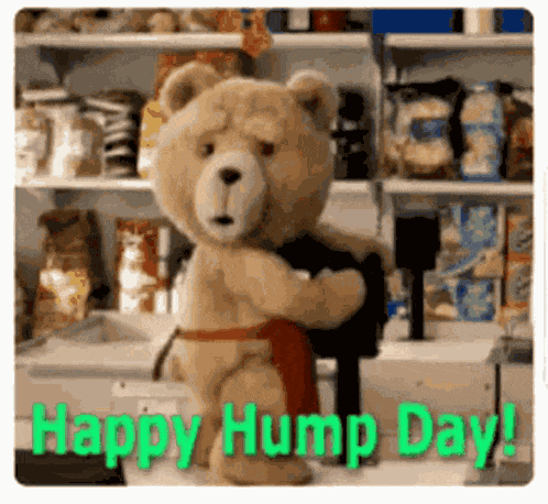 Happy Hump Day Gif Happy Wednesday GIF