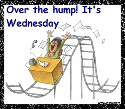 Happy Hump Day GIF