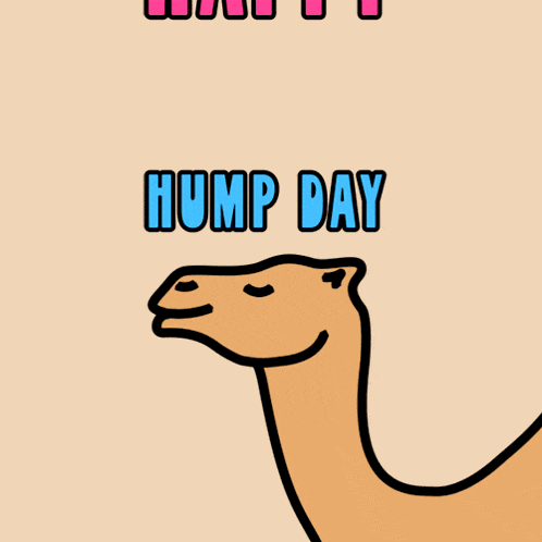 Happy Hump Day Wednesday Is Hump Day GIF