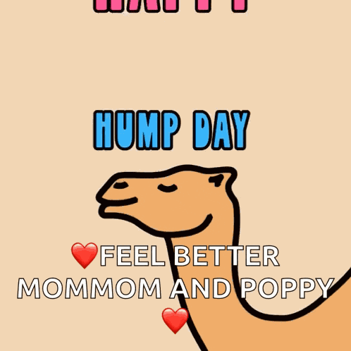 Happy Hump Day Wednesday Is Hump Day GIF