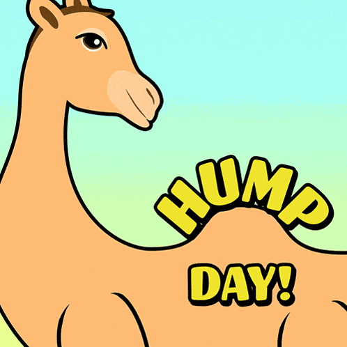 Happy Hump Day Wednesday Is Hump Day GIF