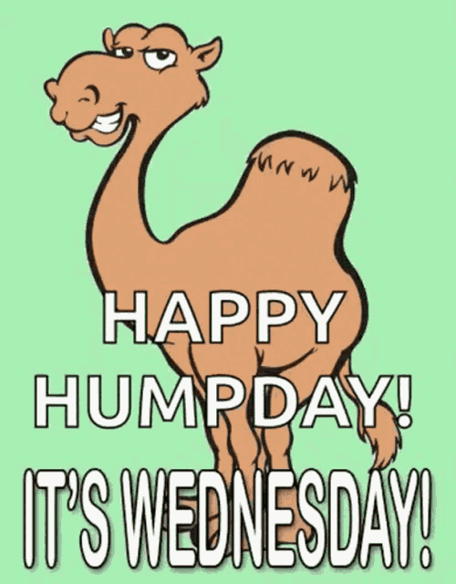 Happy Humpday Its Wednesday GIF