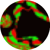 Happy Juneteenth Celebrate Freedom Sticker