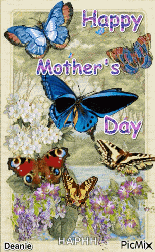 Happy Mothers Day Butterfly GIF