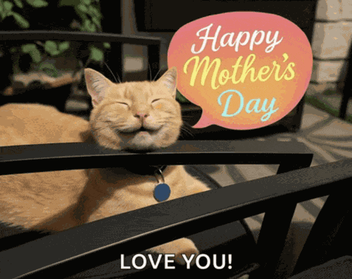 Happy Mothers Day Happy Mothers Day Funny Meme