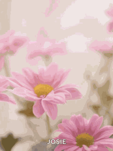 Happy Mothers Day Happy Mothers Day2022 GIF
