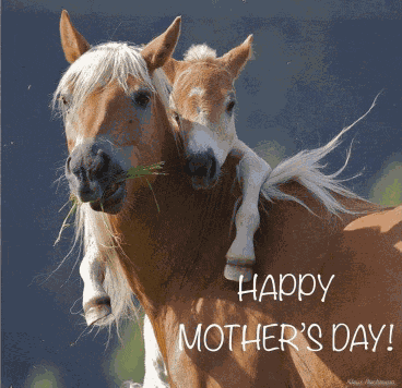 Happy Mothers Day Meme