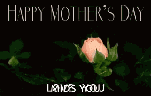 Happy Mothers Day Moms Day GIF