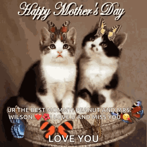 Happy Mothers Day Mums Day GIF