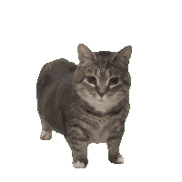 Happy Mothers Day Sticker