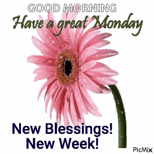 Happy New Week GIF