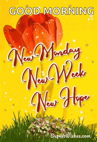 Happy New Week GIF