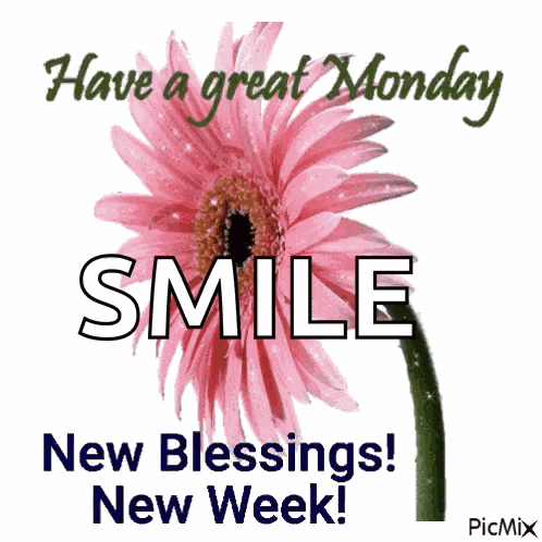 Happy New Week GIF