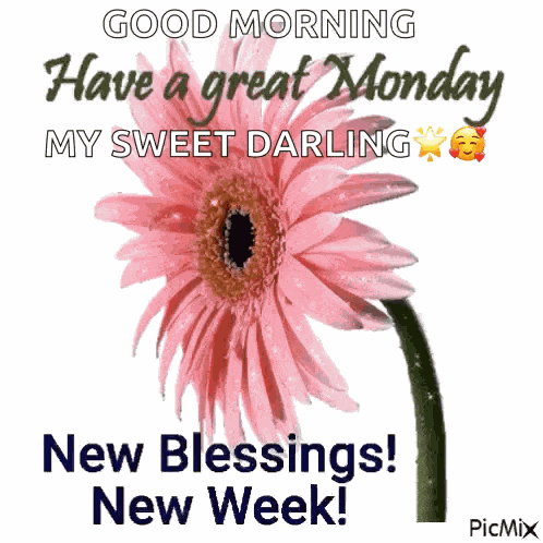 Happy New Week GIF