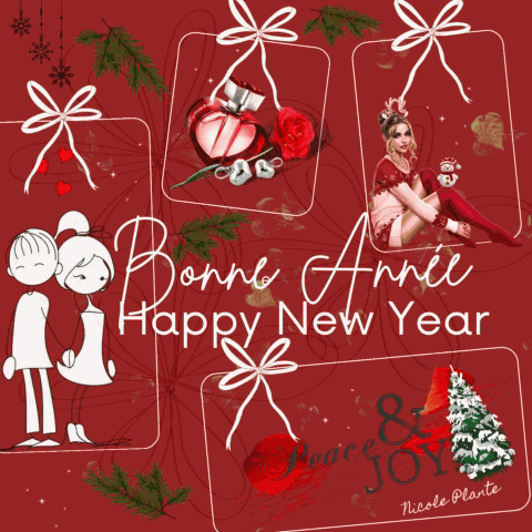 Happy New Year Bonne Année GIF