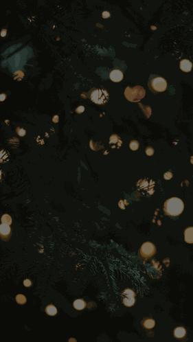 Happy New Year Happy New Year 2024 Images GIF