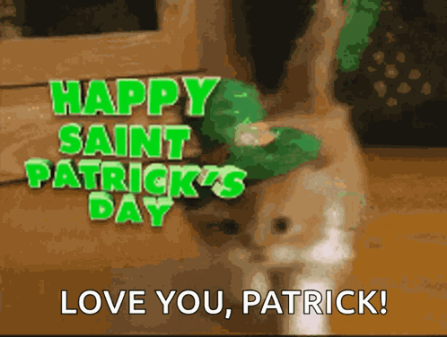 Happy Saint Patricks Day Cat GIF
