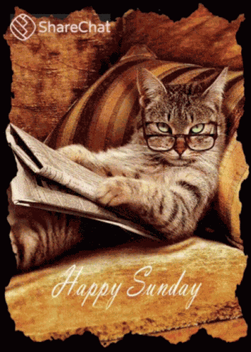 Happy Saturday GIF