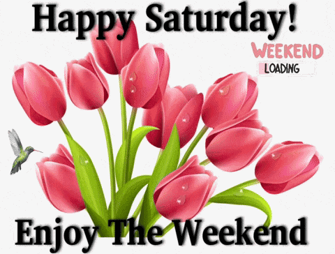Happy Saturday GIF