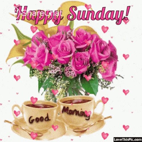 Happy Sunday Good Morning GIF