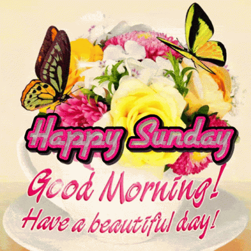 Happy Sunday Good Morning GIF