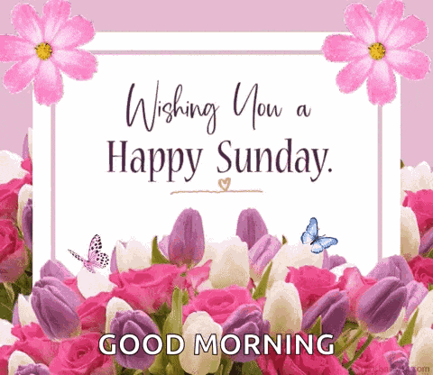 Happy Sunday GIF