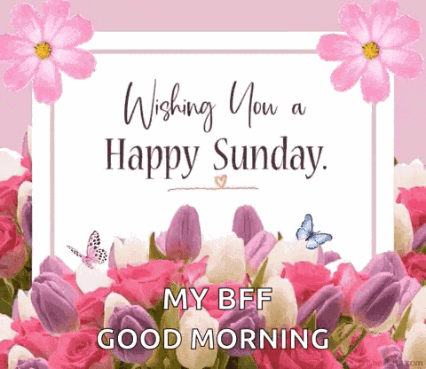 Happy Sunday GIF