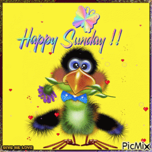 Happy Sunday Tuscon GIF