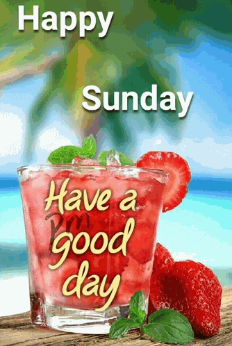 Happy Sunday GIF