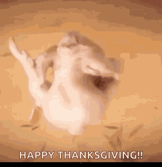 Happy Thanksgiving Happy Turkey Day GIF