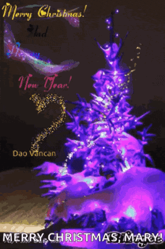 Happy Thanksgiving Merry Christmas GIF