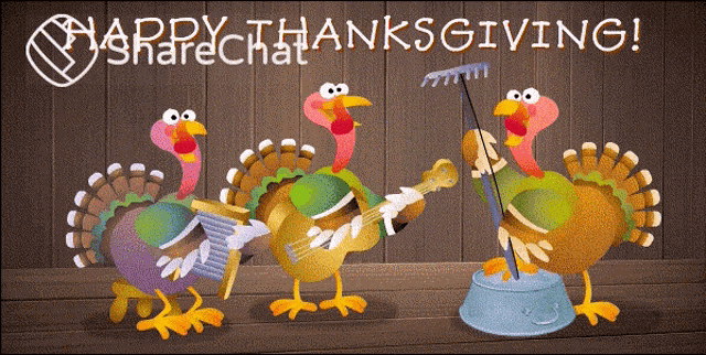 Happy Thanksgiving Thanksgiving GIF