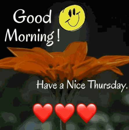 Happy Thursday Friday Eve GIF