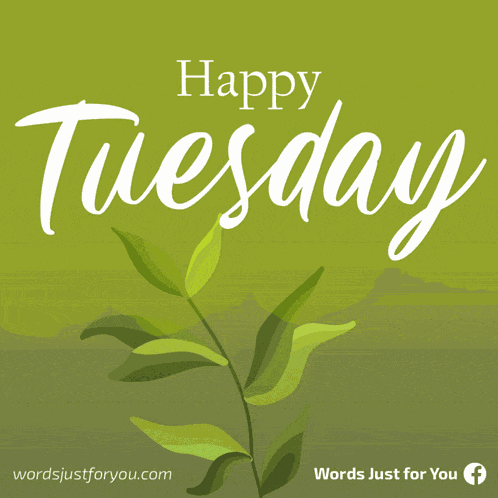 Happy Tuesday Greetings Meme