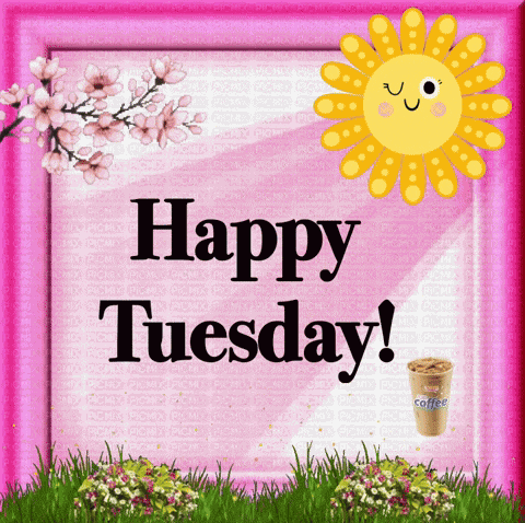 Happy Tuesday GIF