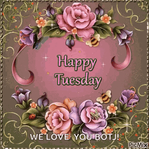 Happy Tuesday GIF