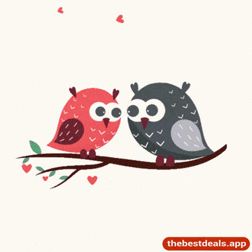 Happy Valentines Day Happy Valentines Day 2025 GIF