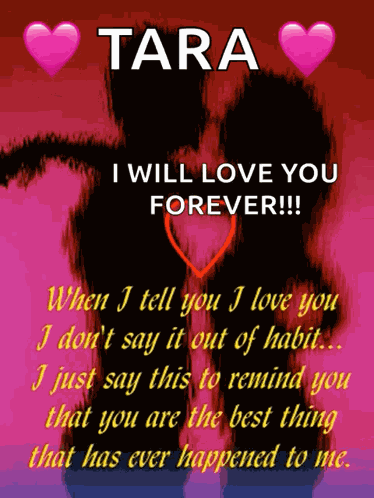 Happy Valentines Day Love GIF