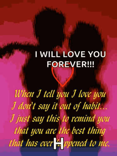 Happy Valentines Day Love GIF