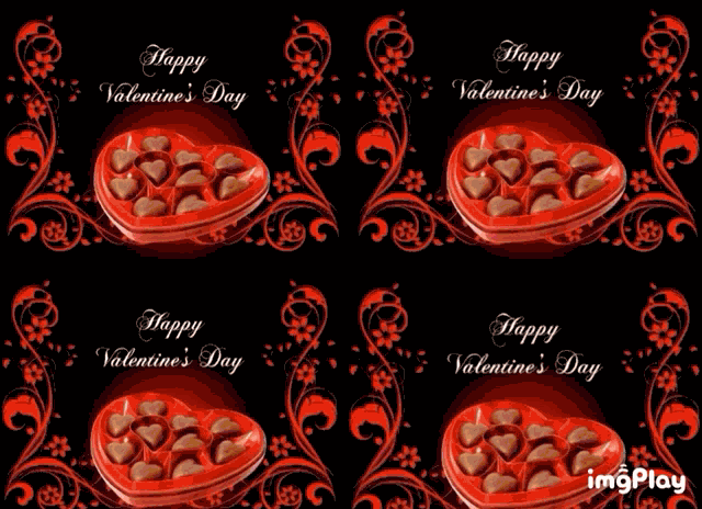 Happy Valentines Day Valentines GIF
