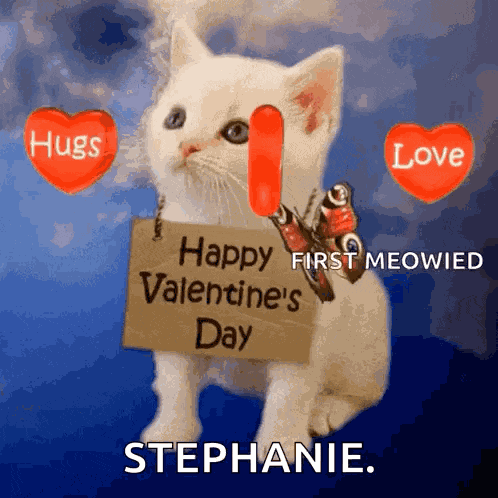 Happy Valentines Valentines Day Kitten GIF