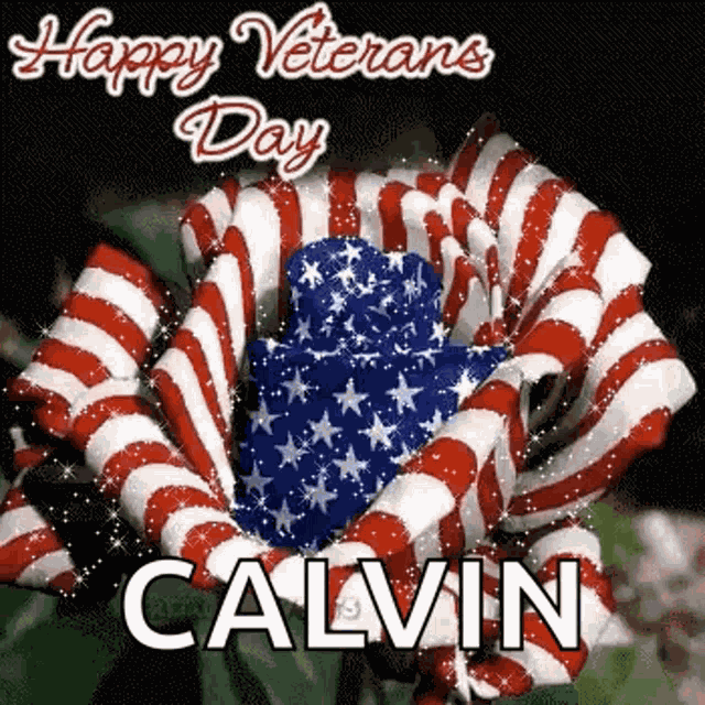 Happy Veterans Day GIF