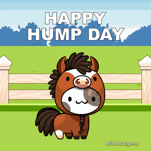 Happy Wednesday Hump Day GIF